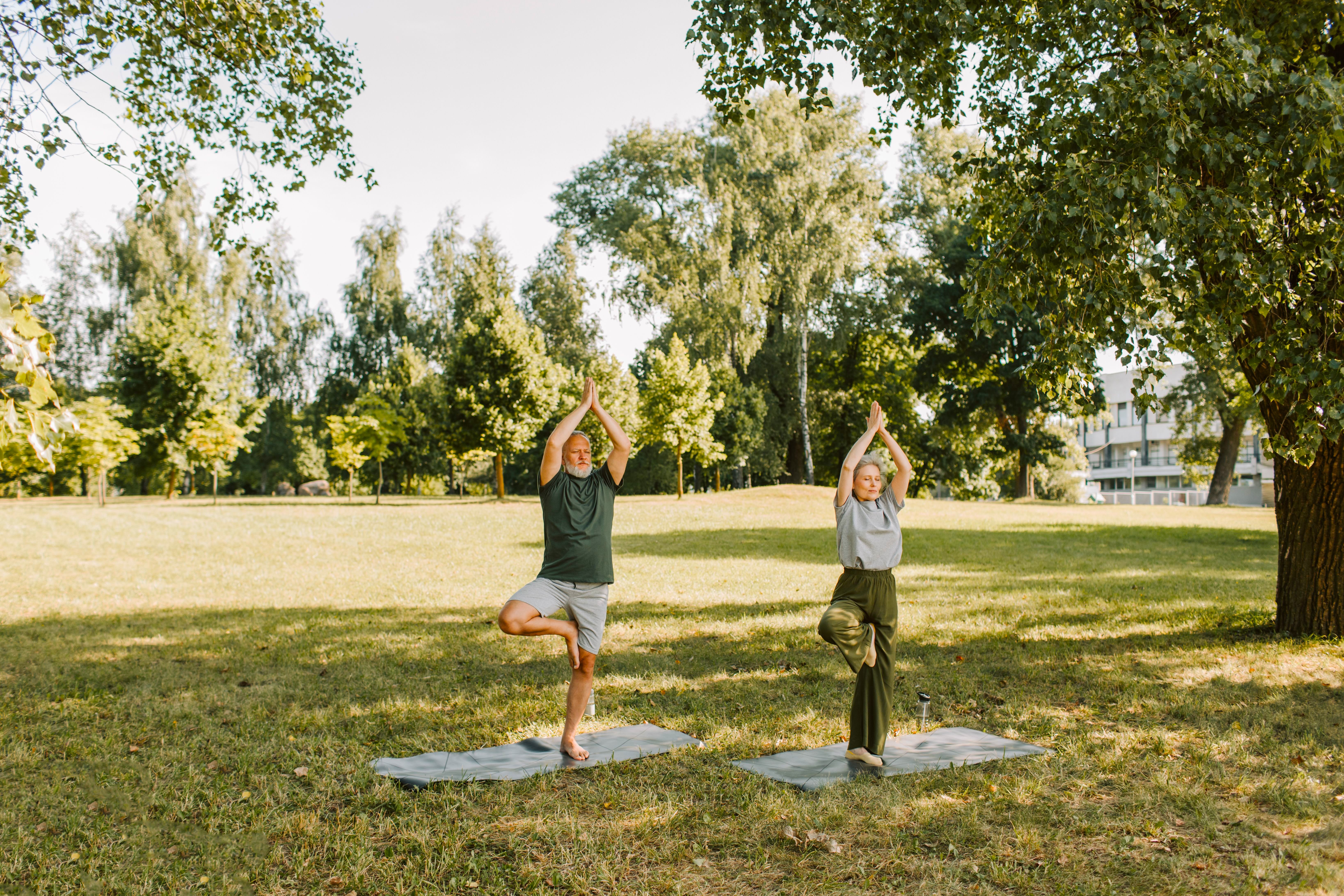 Alexandria, VA yoga